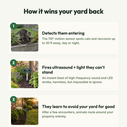 How HavenGuard works in three steps