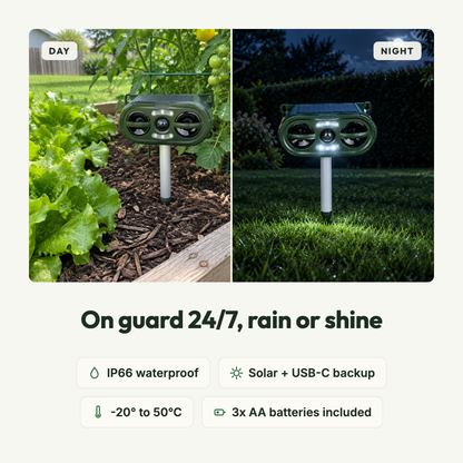On guard 24/7, IP66 waterproof, solar powered